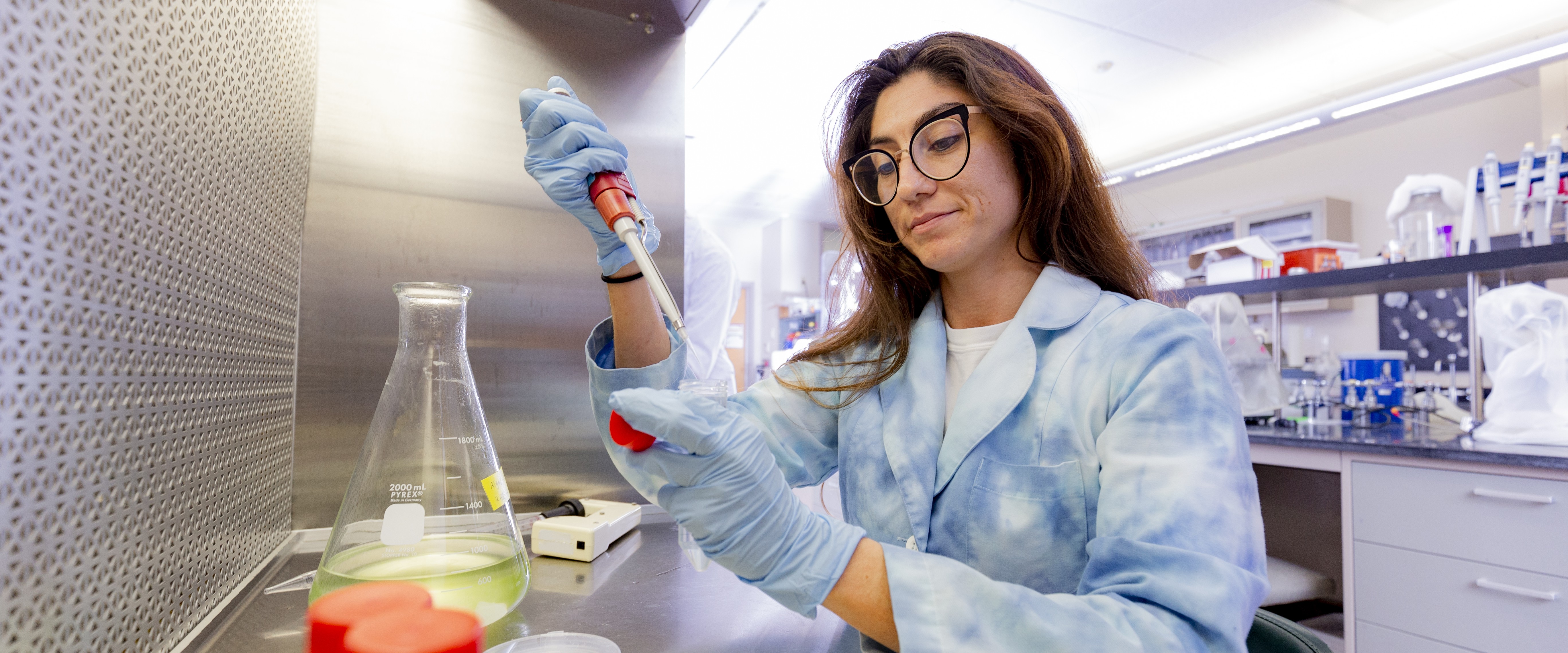 Biomedical Engineering and Sciences Faculty Publications