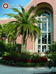 Florida Institute of Technology Catalog 2007-2008